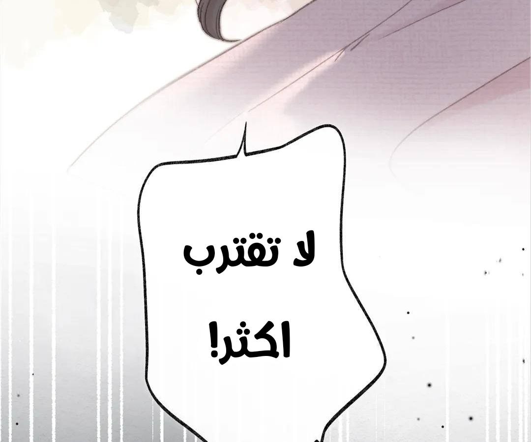 الصفحة 53