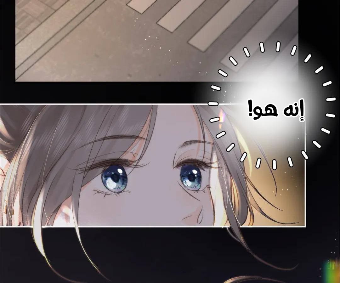 الصفحة 99