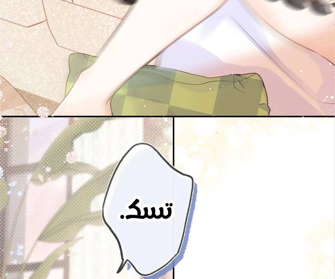 الصفحة 102