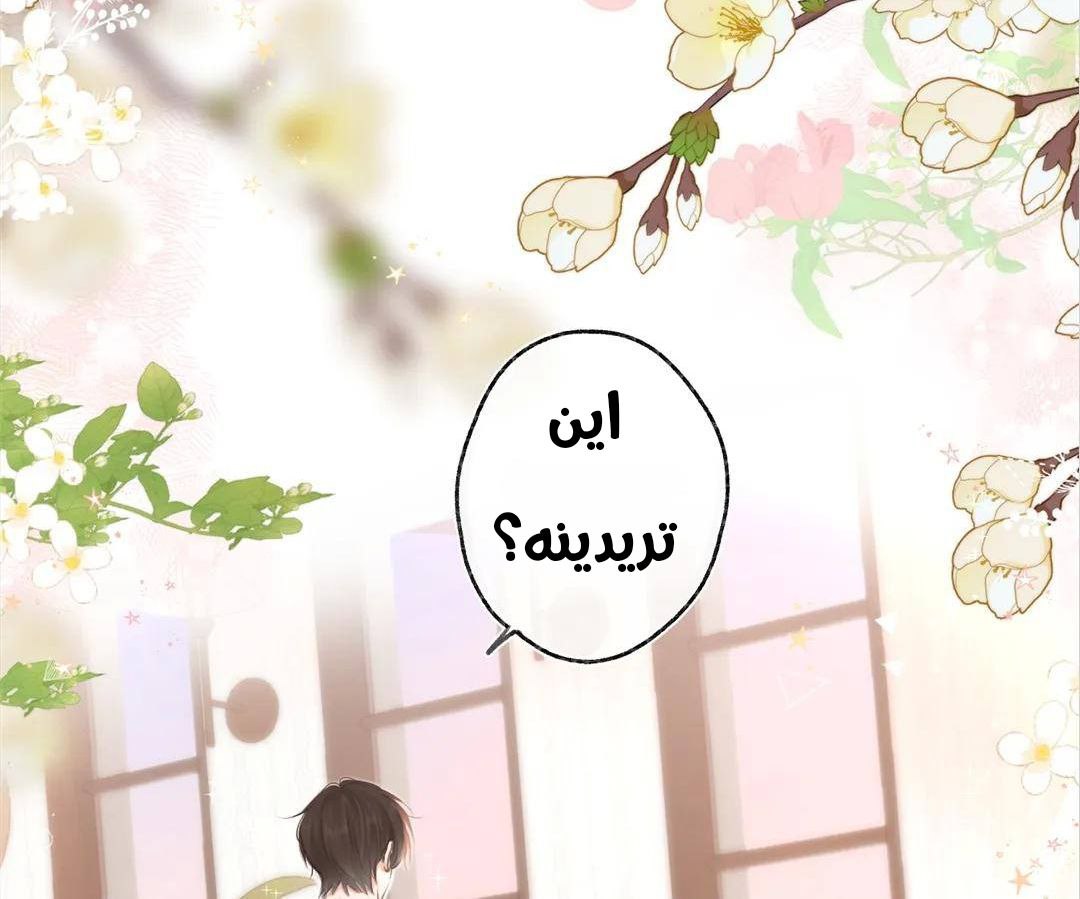 الصفحة 115