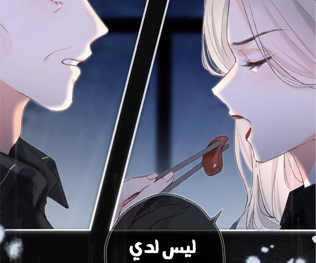 الصفحة 24