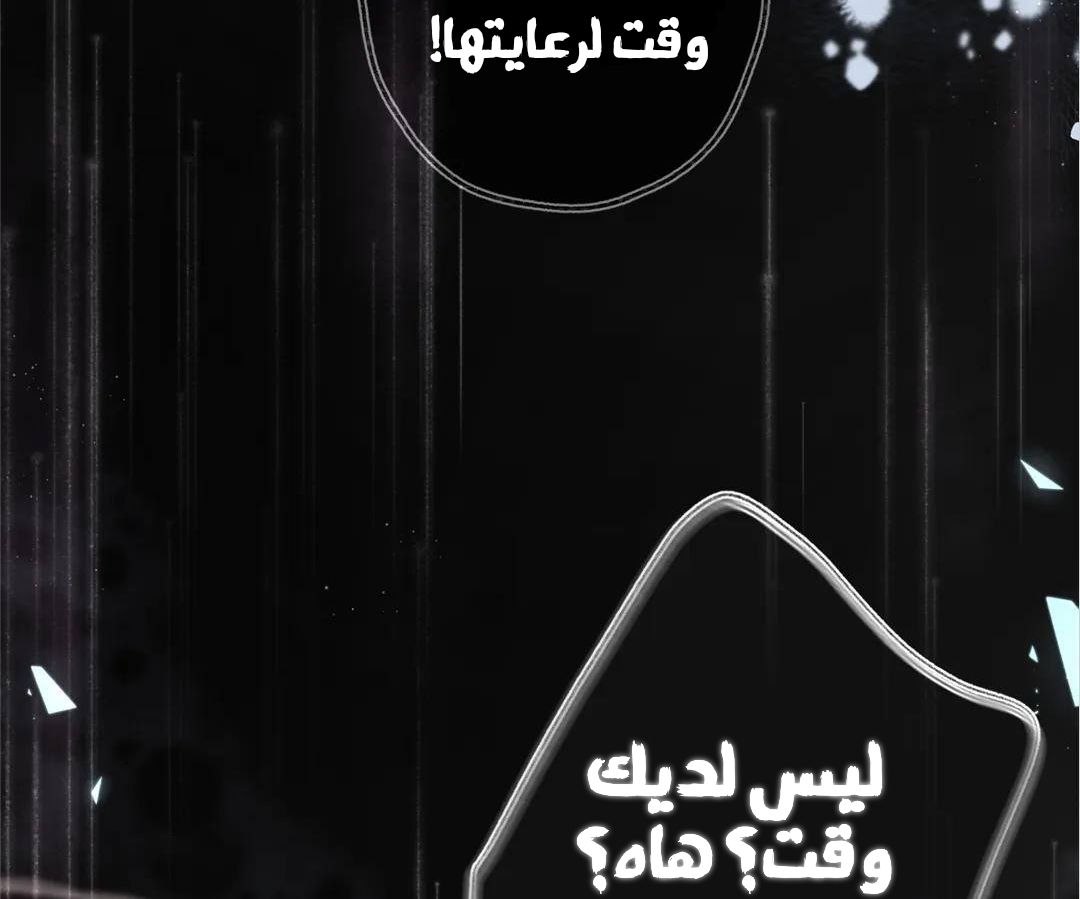 الصفحة 25