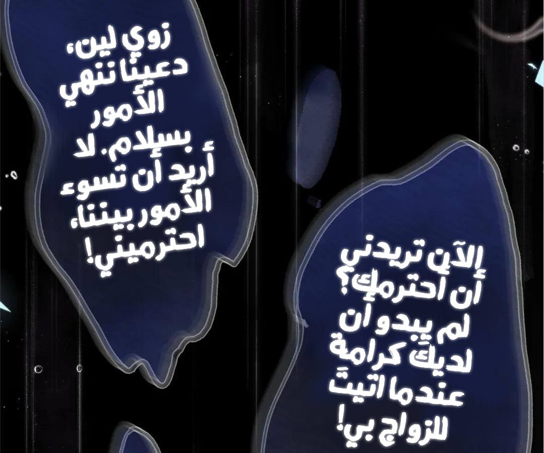 الصفحة 29