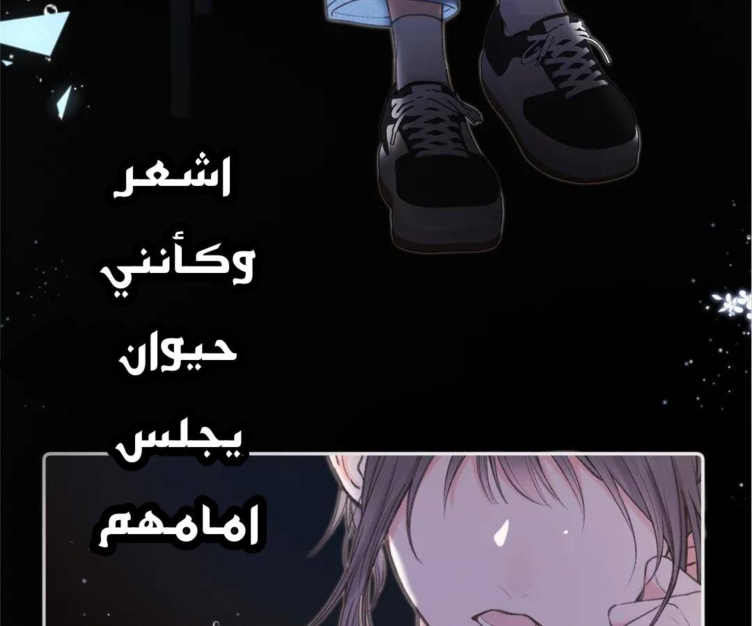 الصفحة 31