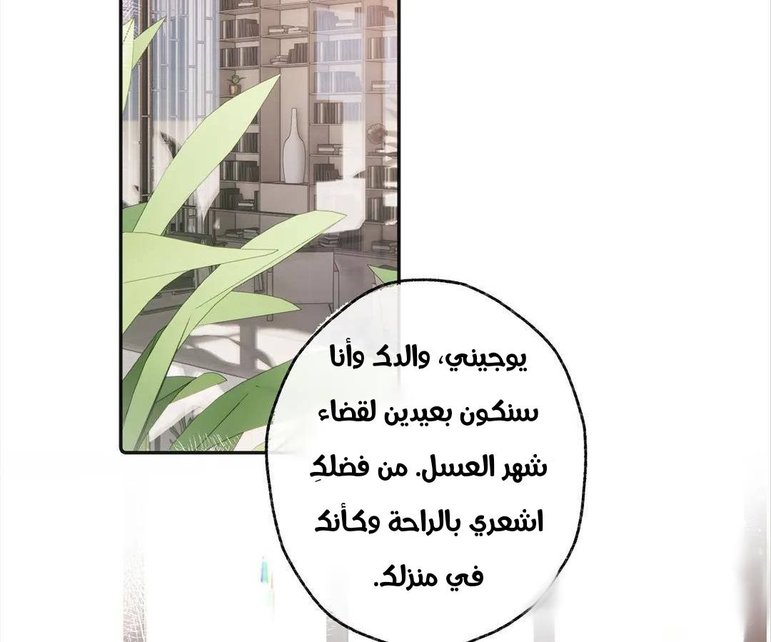 الصفحة 41
