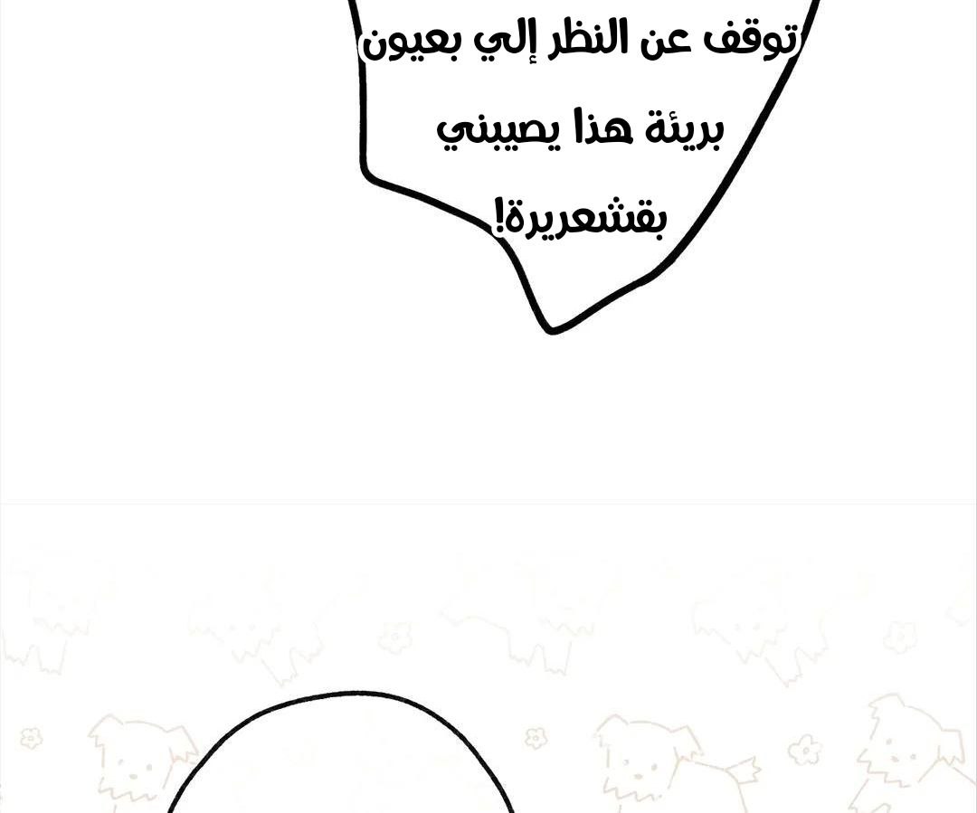 الصفحة 29