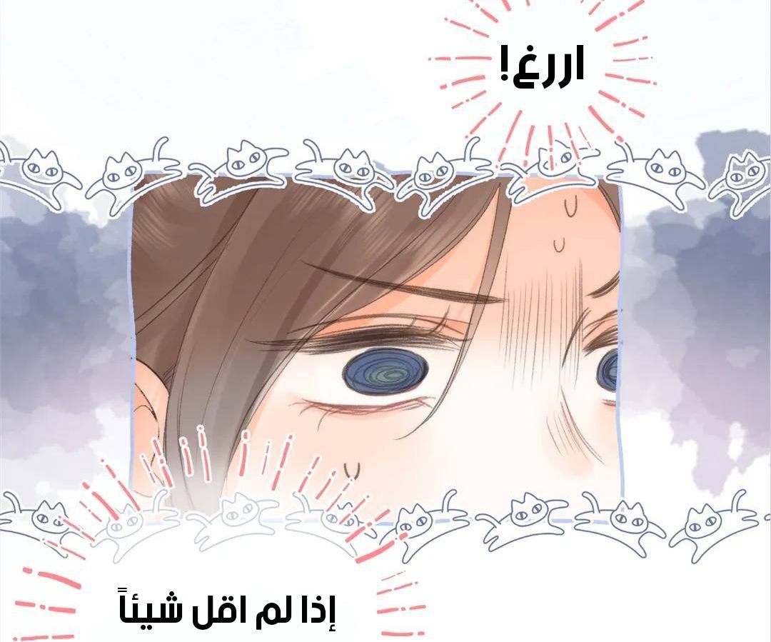 الصفحة 45
