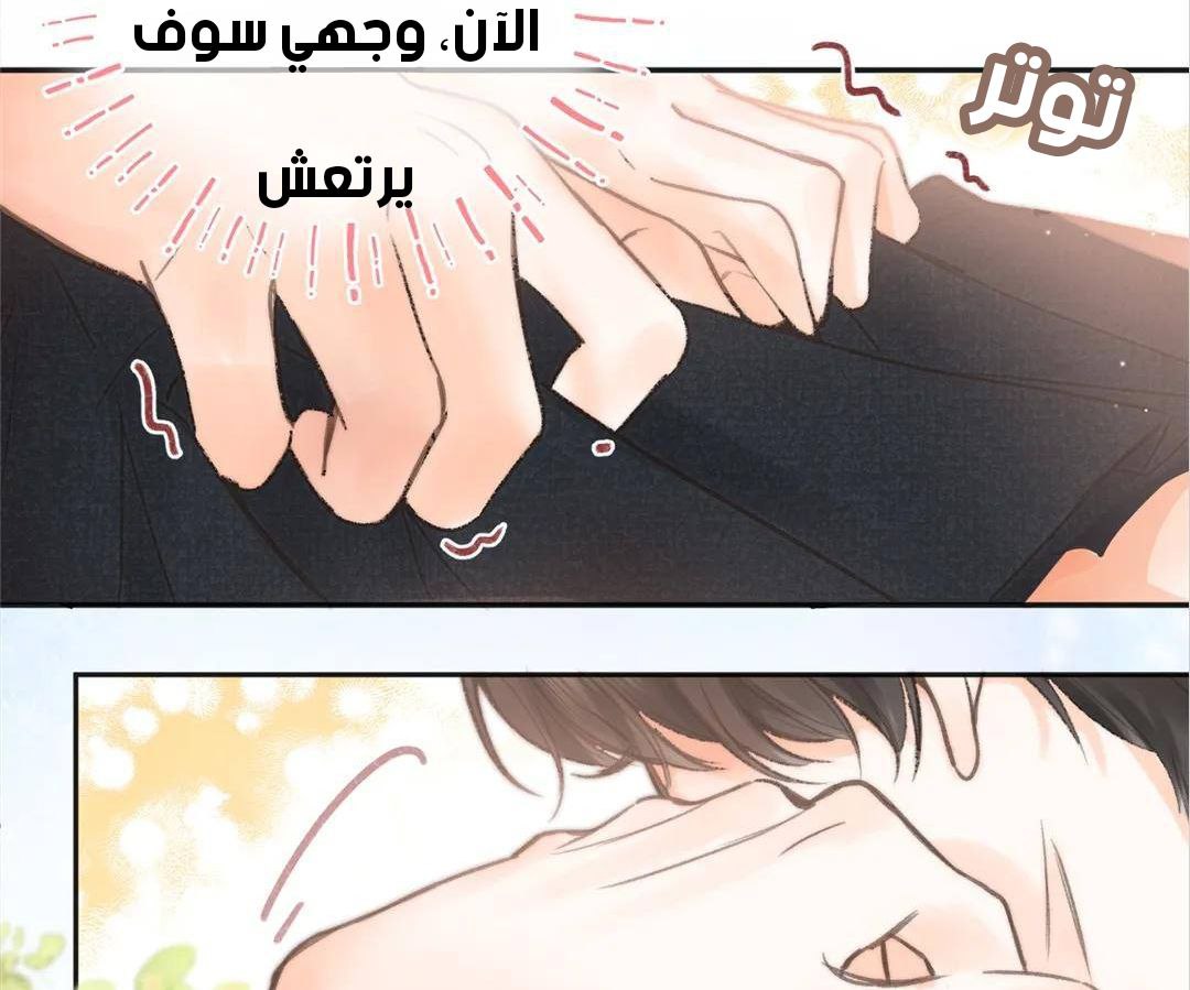 الصفحة 46
