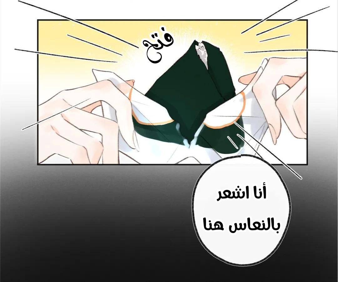 الصفحة 43