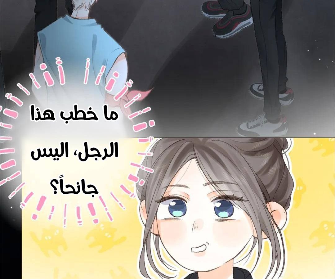 الصفحة 47