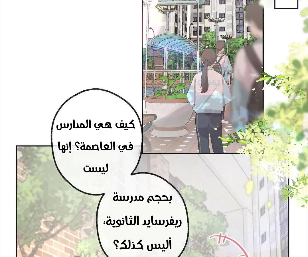 الصفحة 19