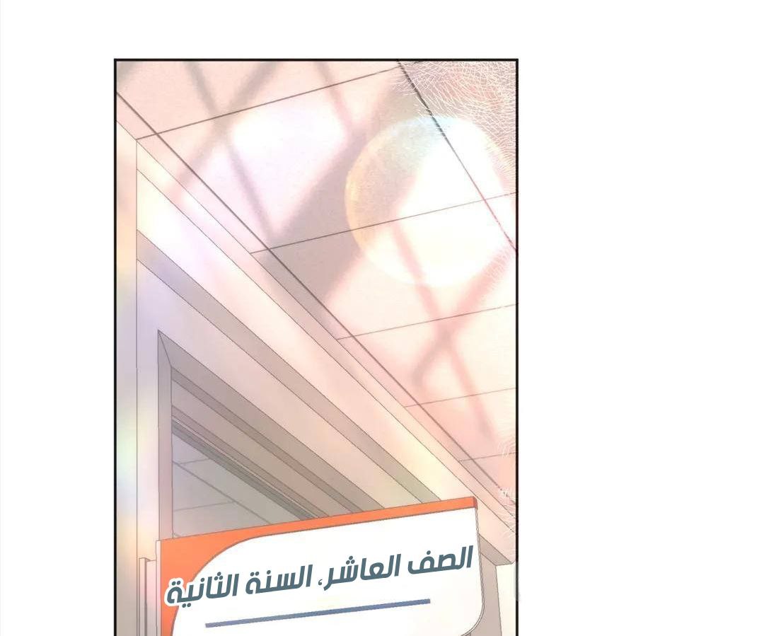 الصفحة 28