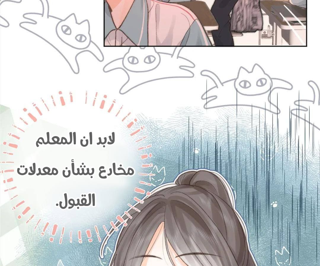 الصفحة 34