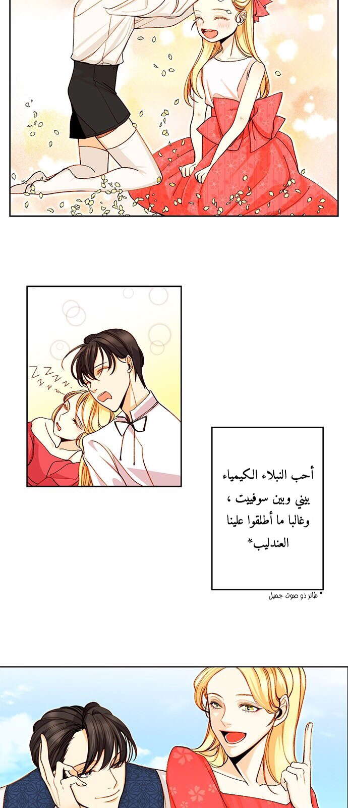 الصفحة 5