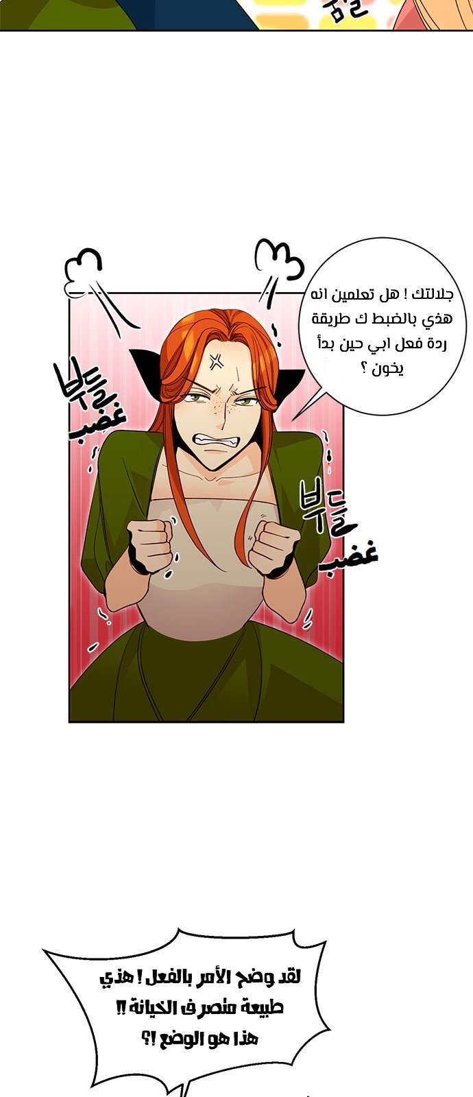 الصفحة 17
