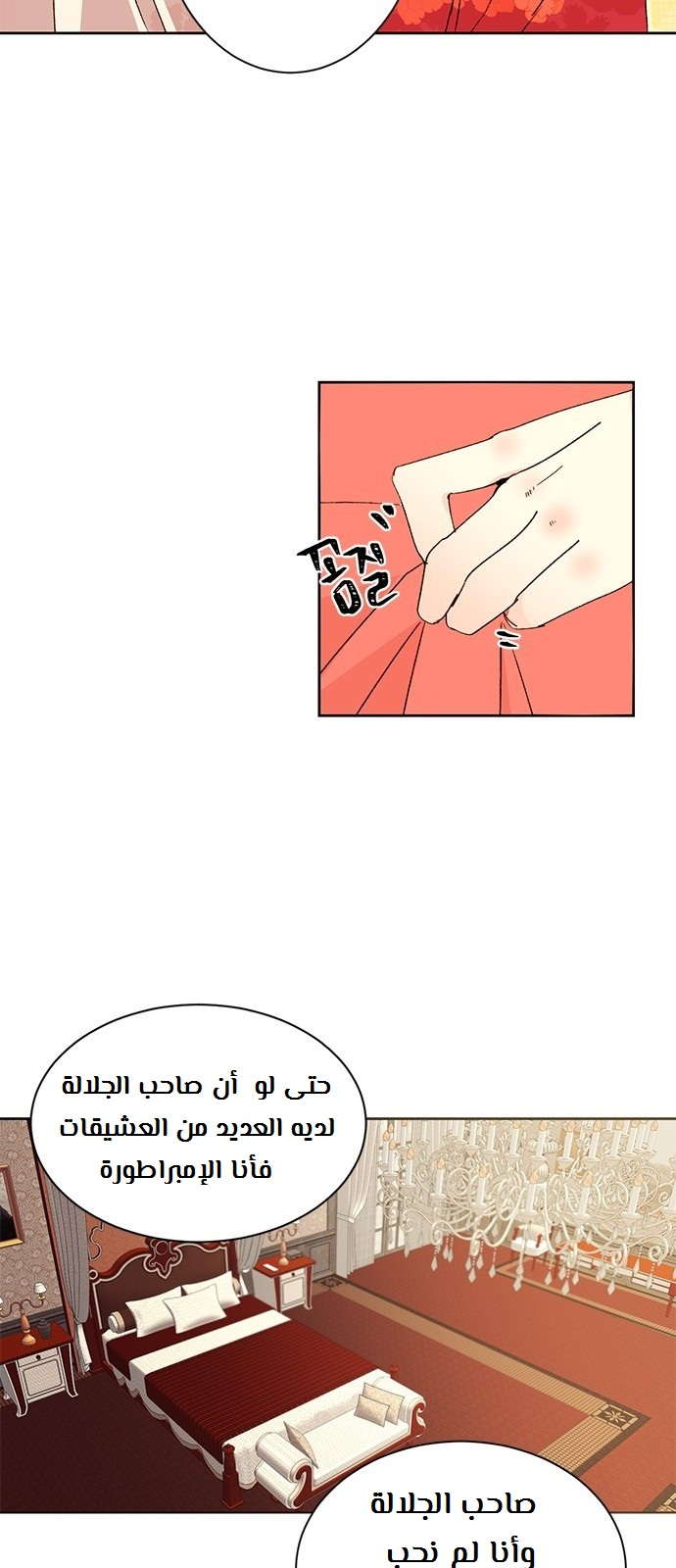 الصفحة 23