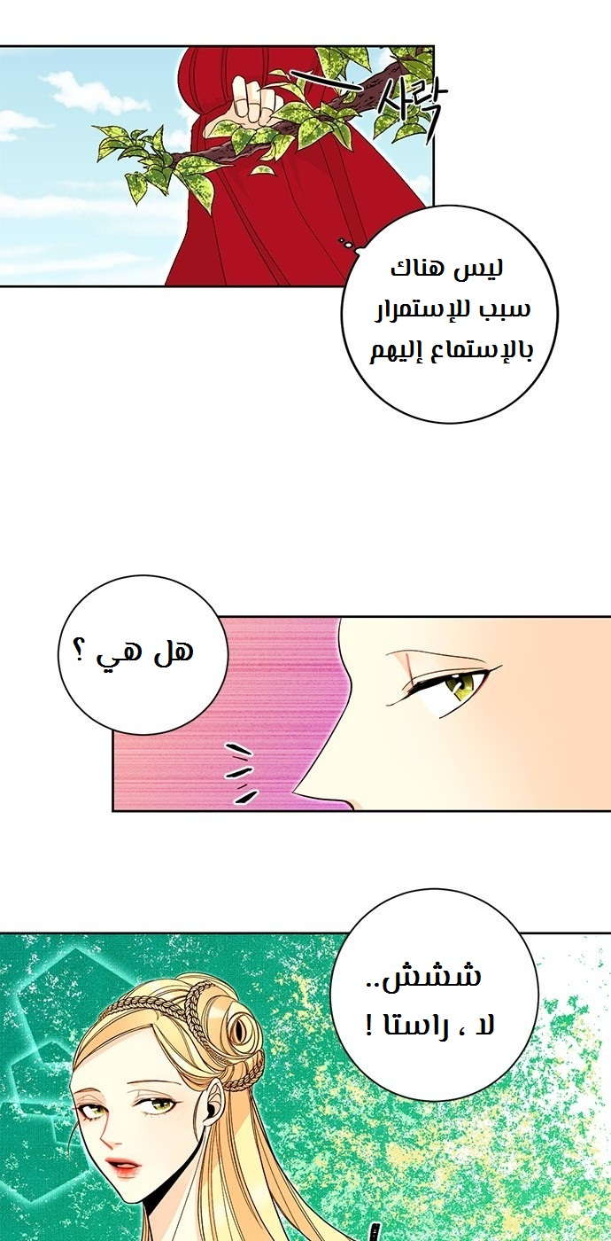 الصفحة 36