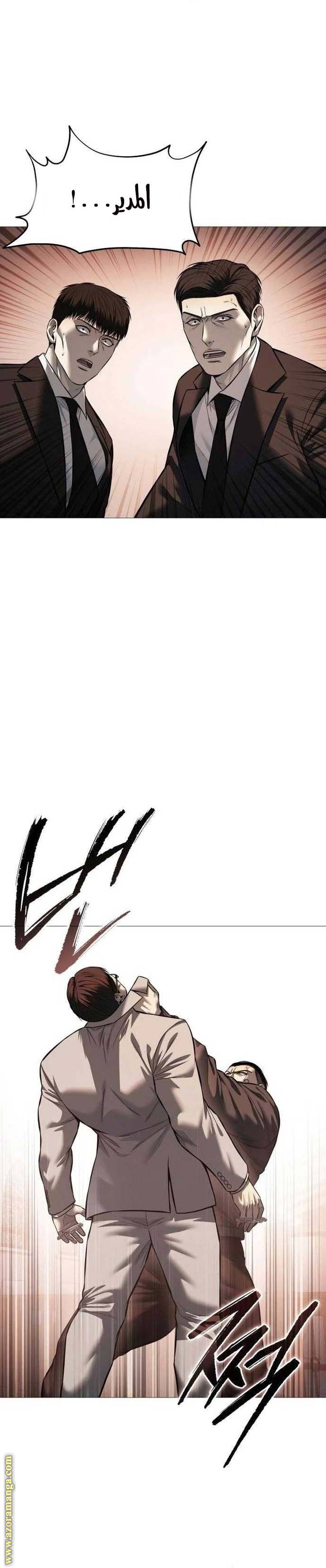 الصفحة 17
