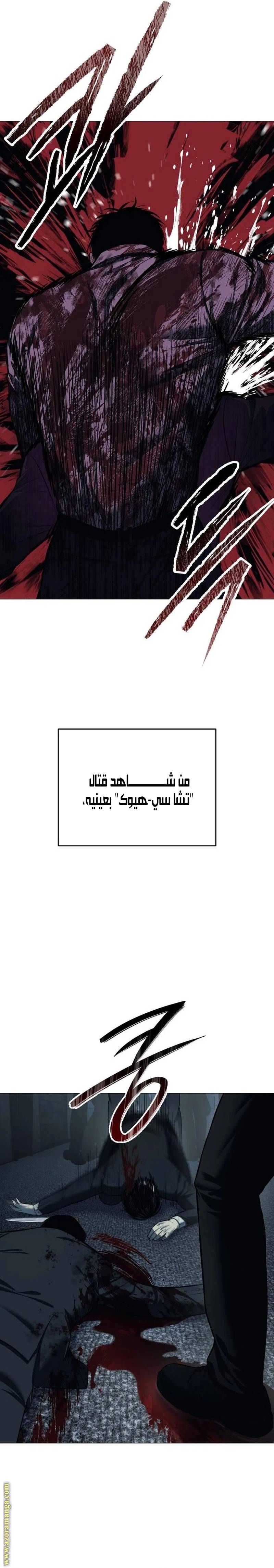 الصفحة 13