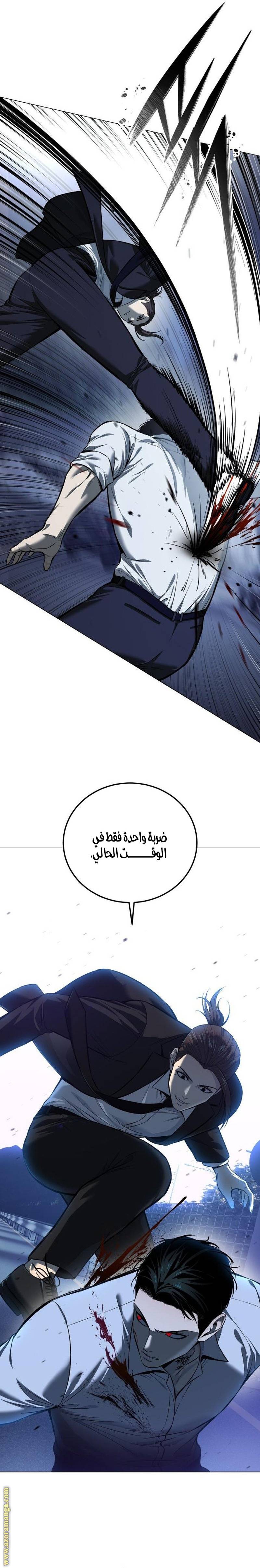 الصفحة 27