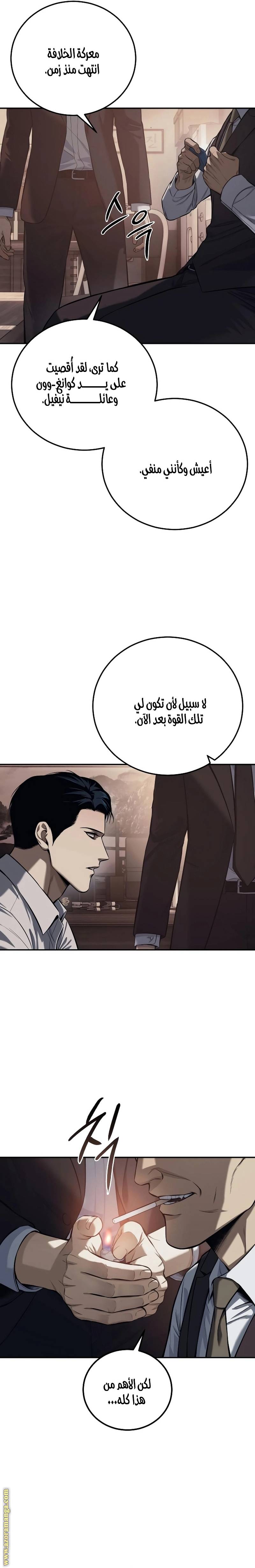الصفحة 17