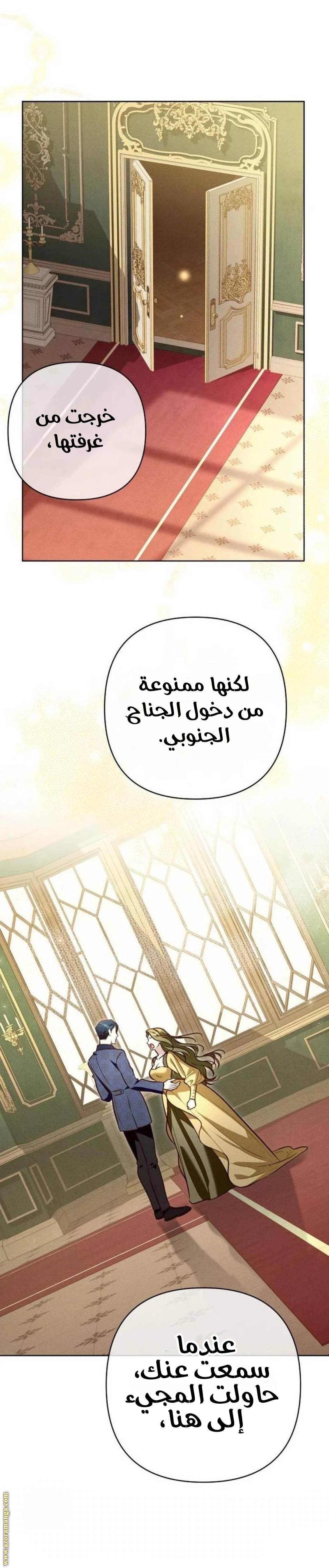 الصفحة 17