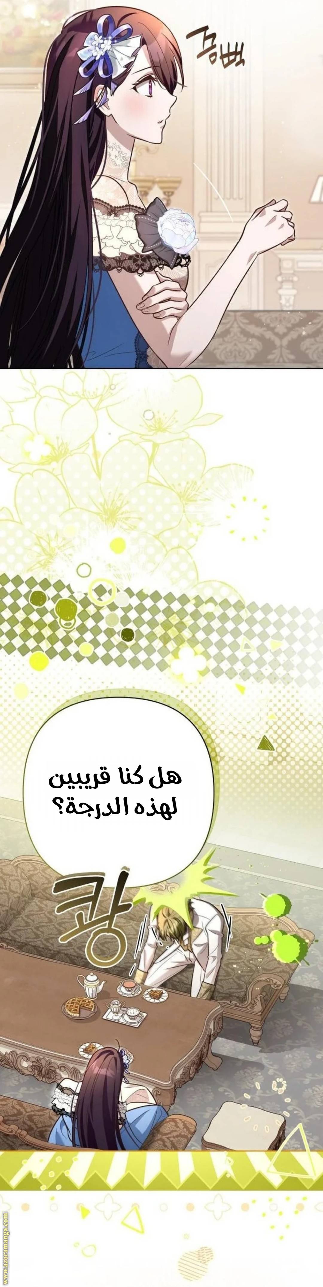 الصفحة 21