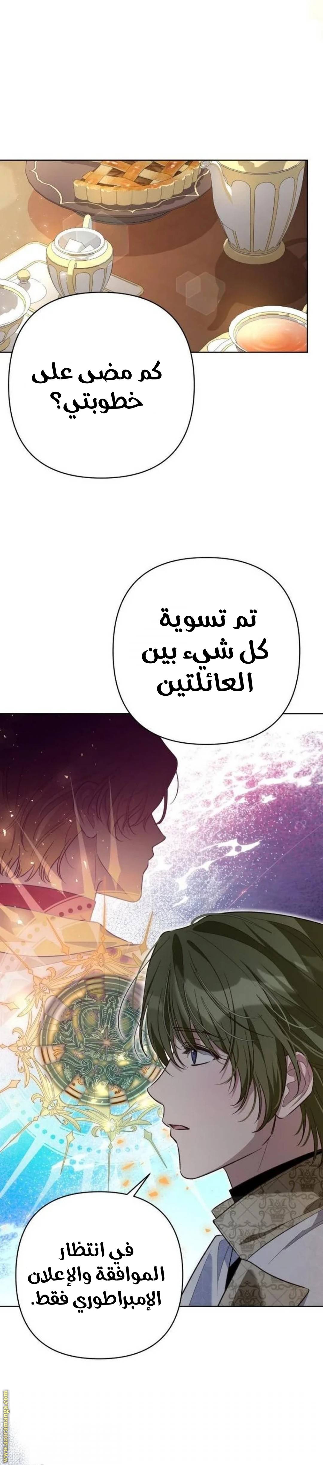 الصفحة 25