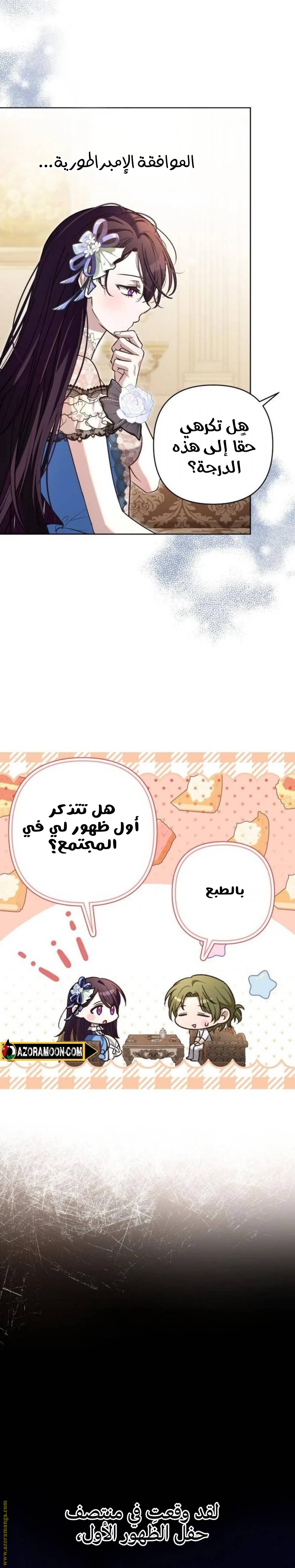 الصفحة 26