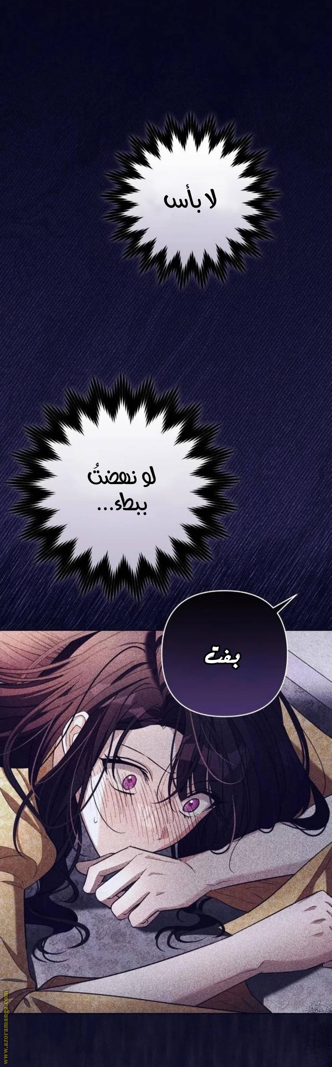 الصفحة 28