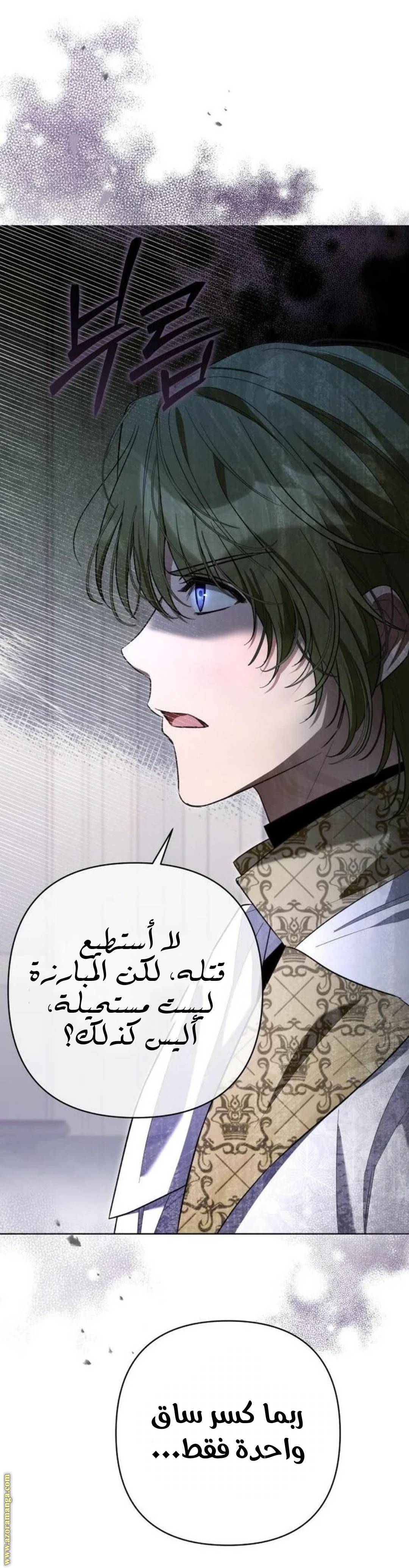 الصفحة 33