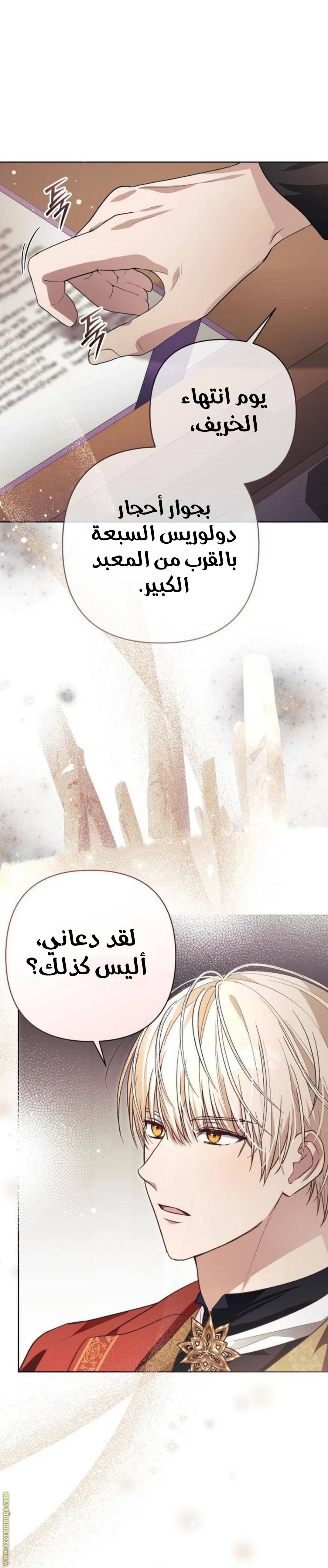 الصفحة 42