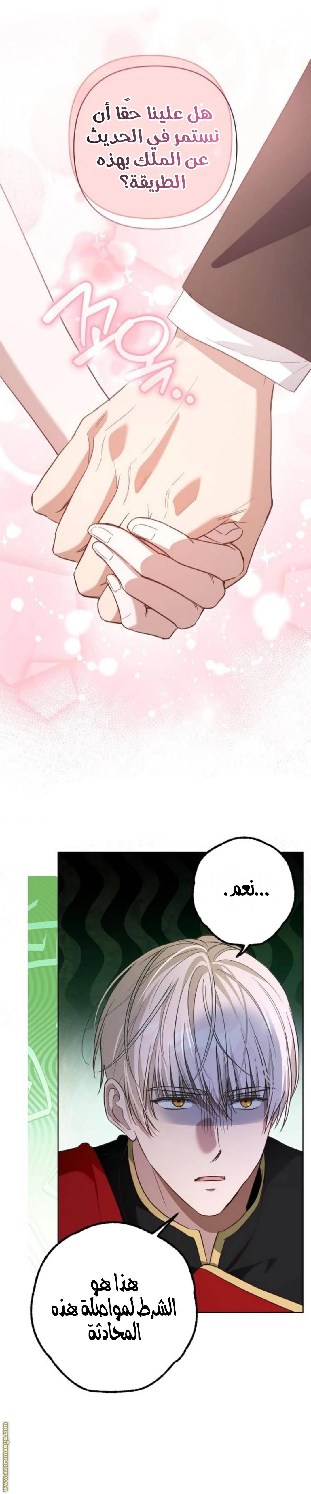 الصفحة 20