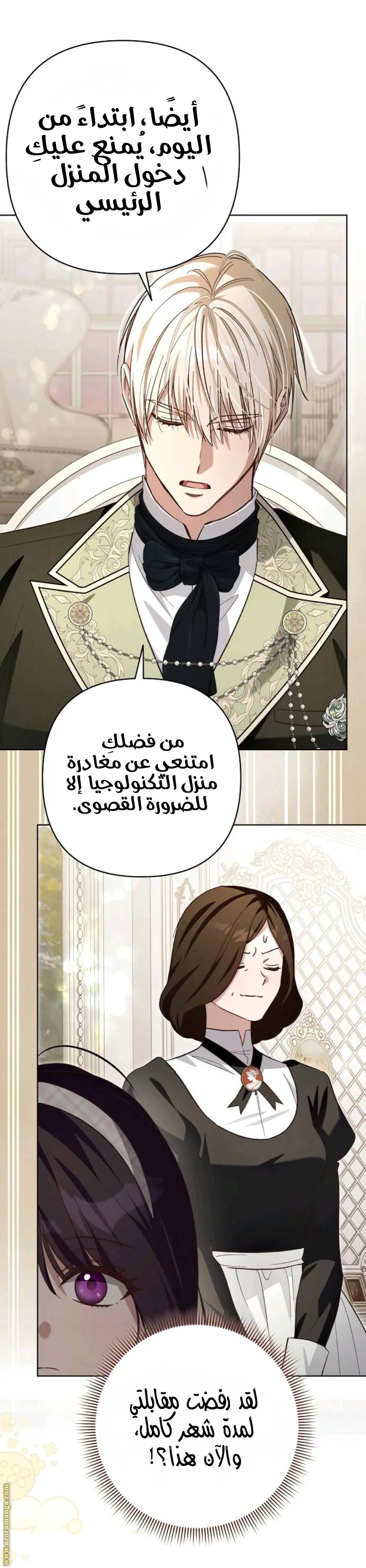 الصفحة 29