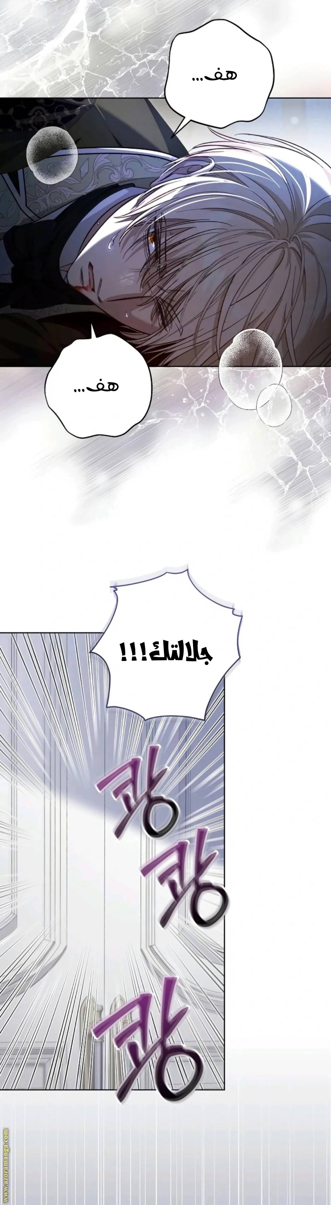 الصفحة 41