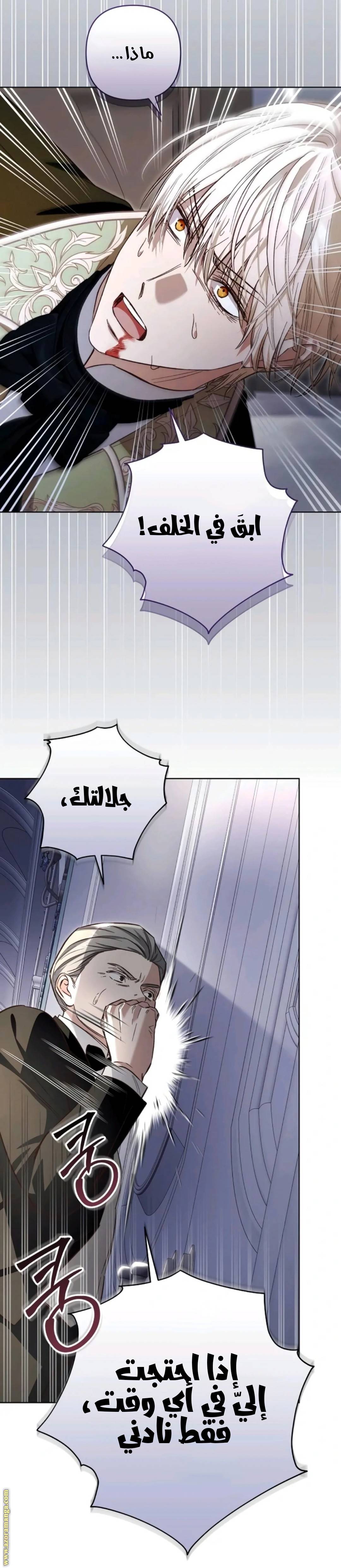 الصفحة 42