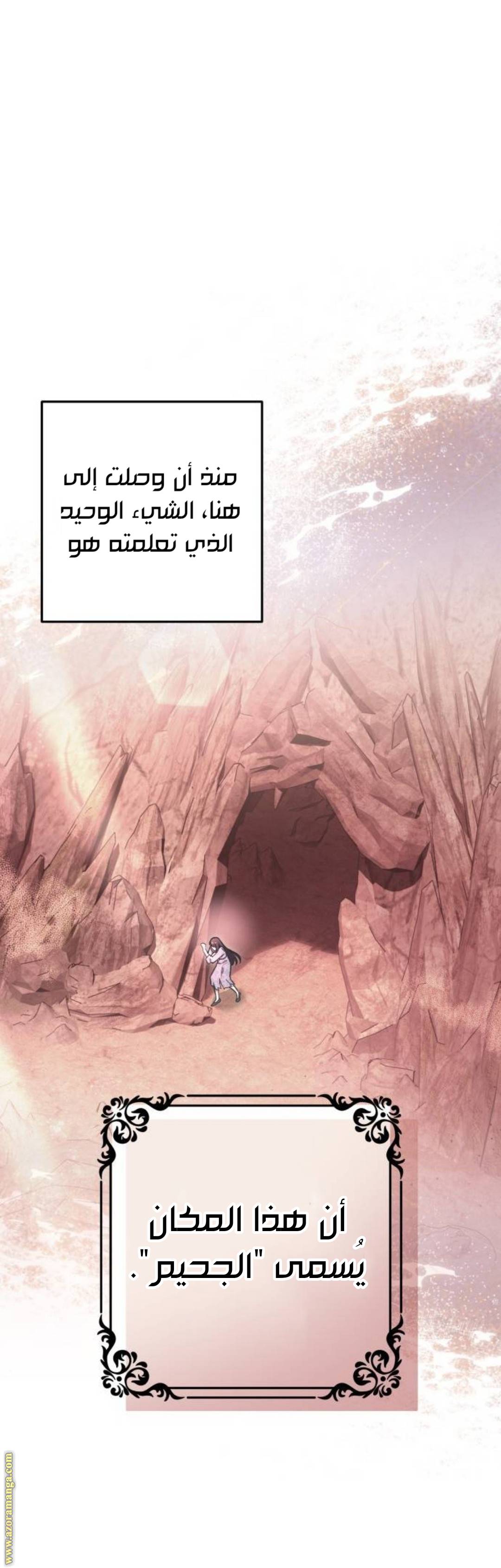 الصفحة 17