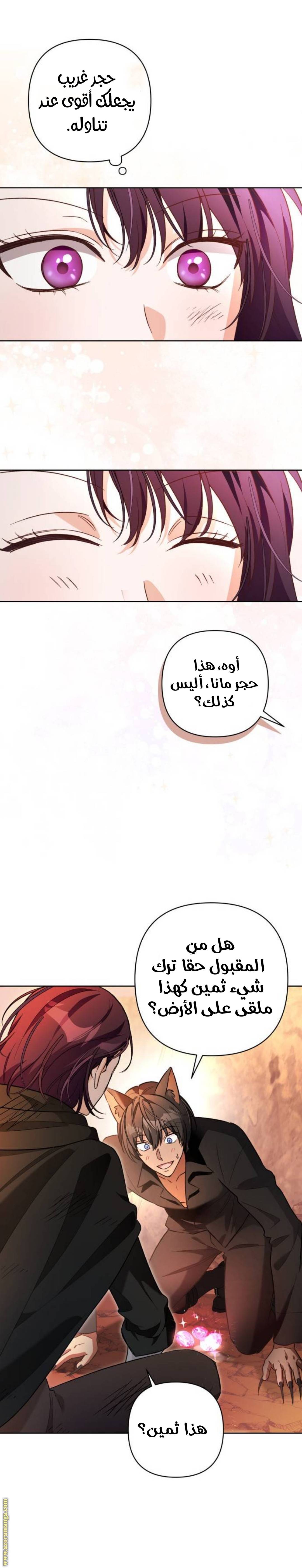 الصفحة 20