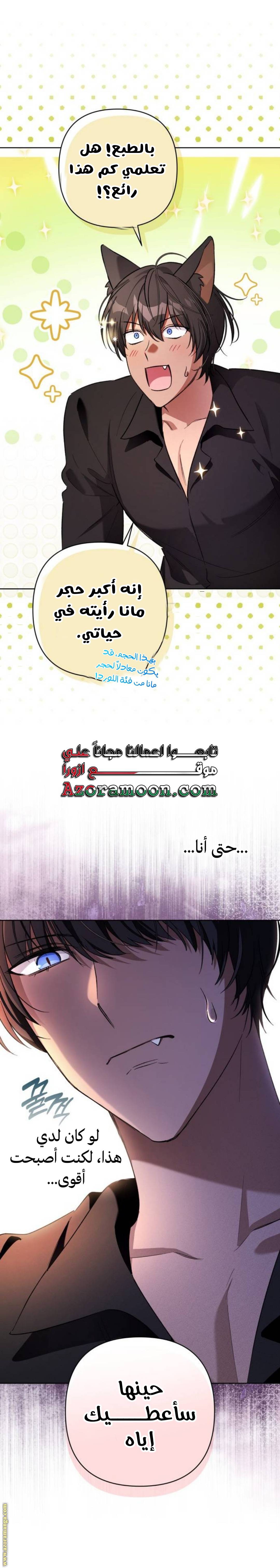الصفحة 21