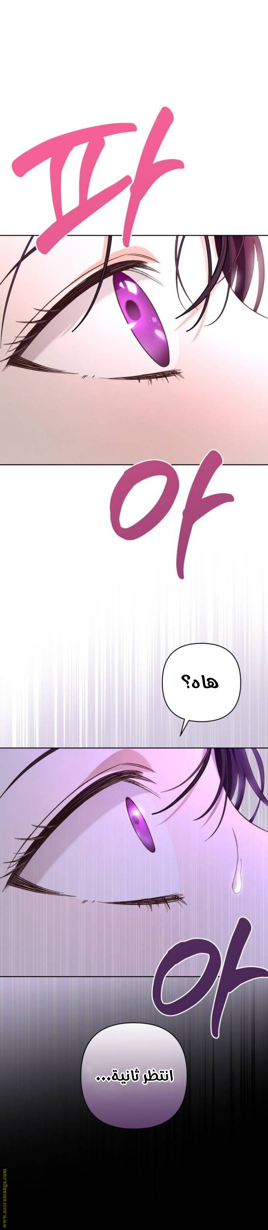 الصفحة 32