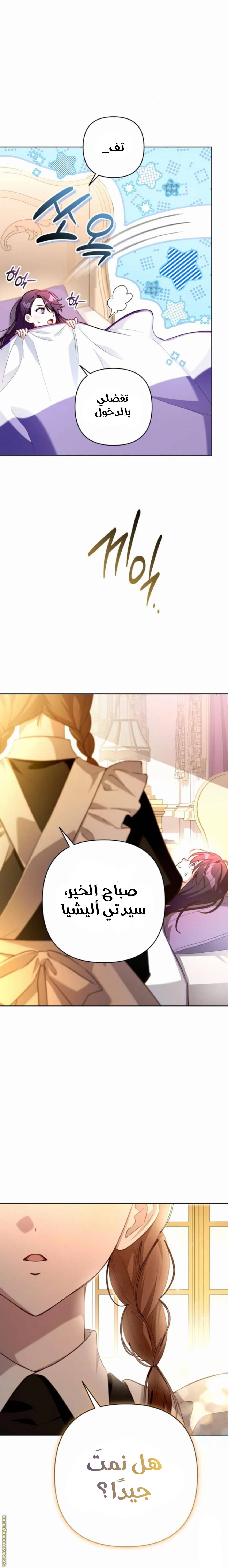 الصفحة 8