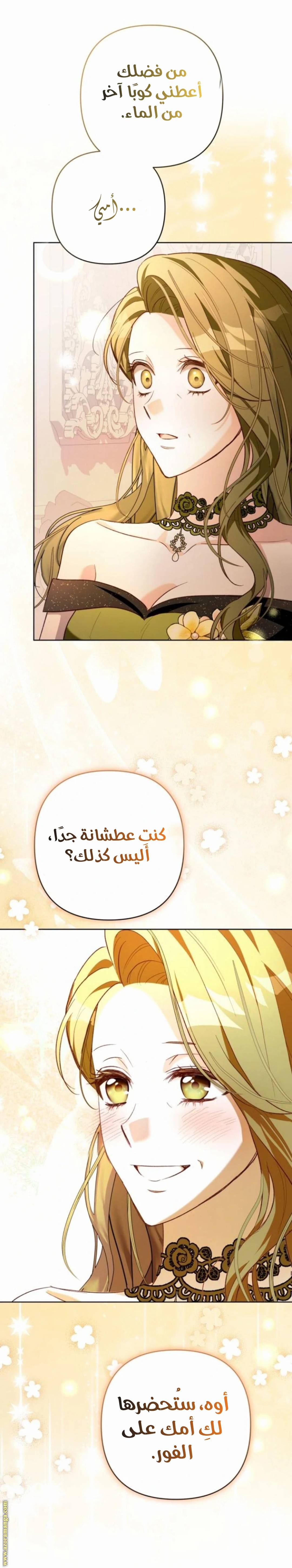 الصفحة 25