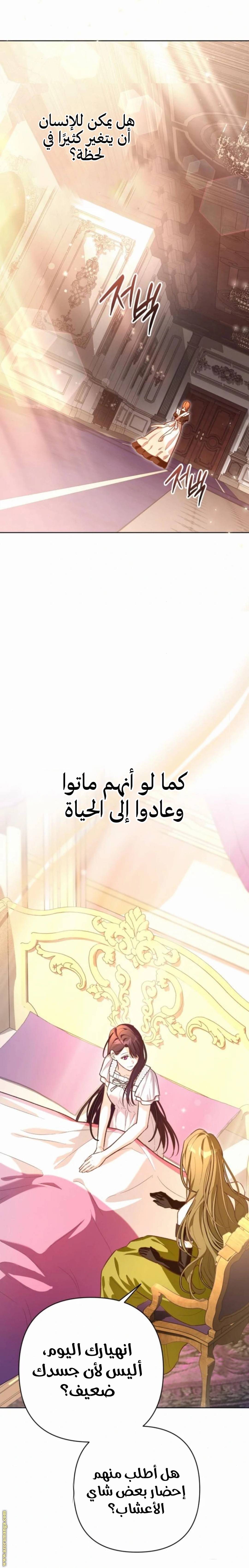 الصفحة 27