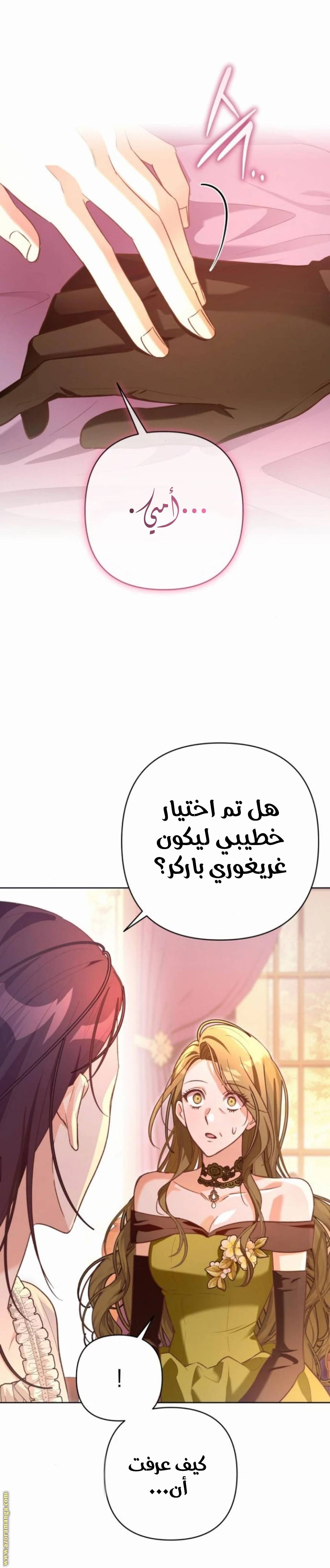 الصفحة 28