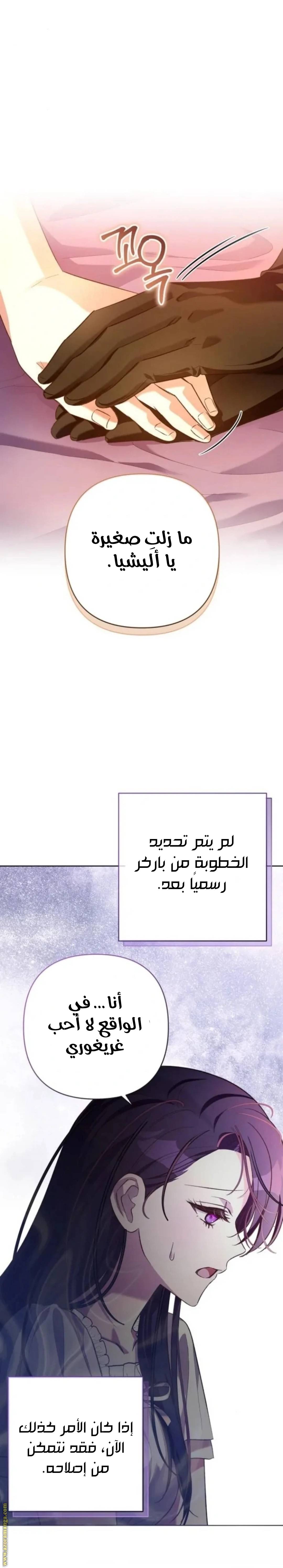 الصفحة 29