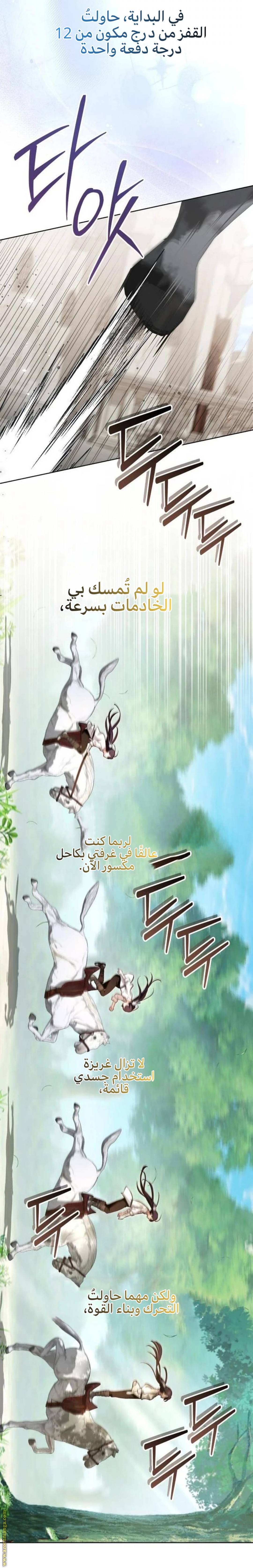 الصفحة 14