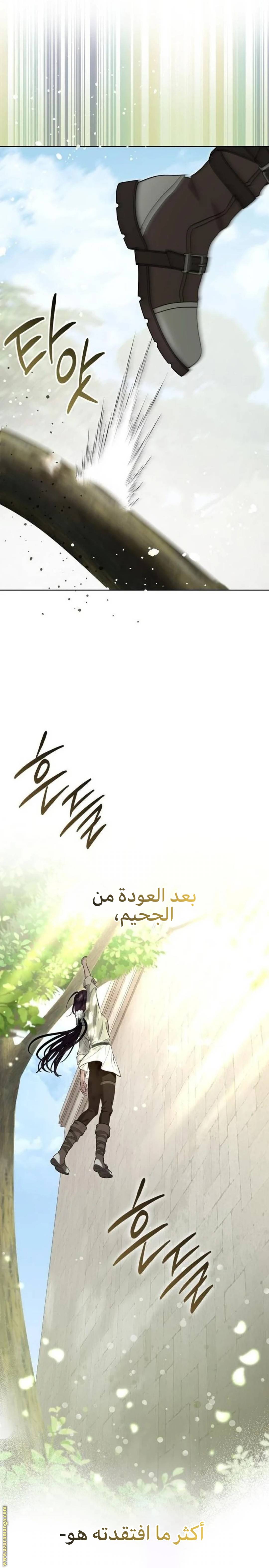 الصفحة 17