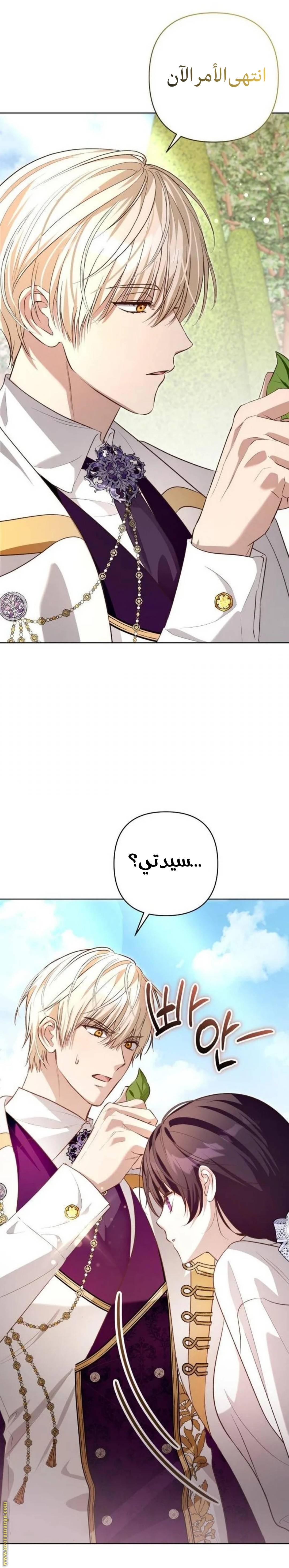 الصفحة 28