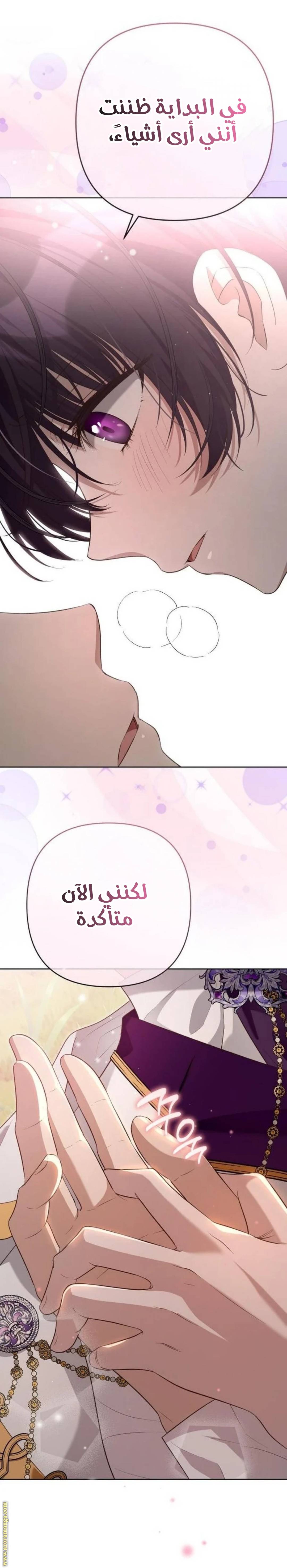 الصفحة 31