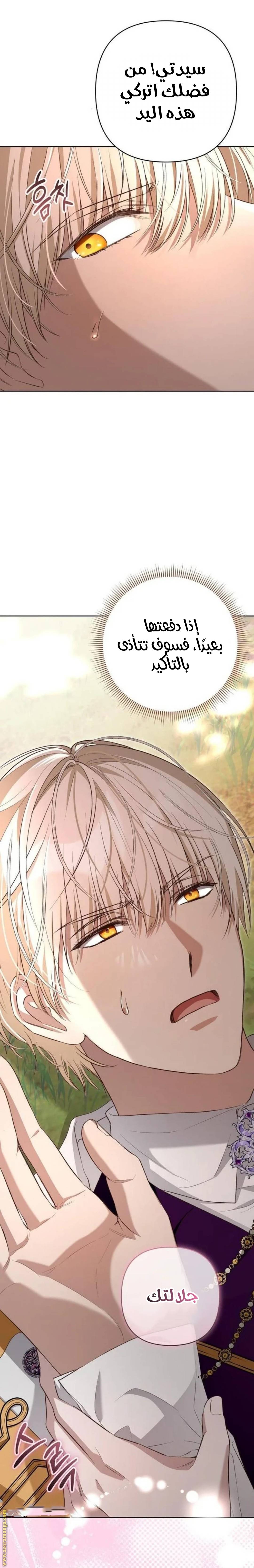 الصفحة 32